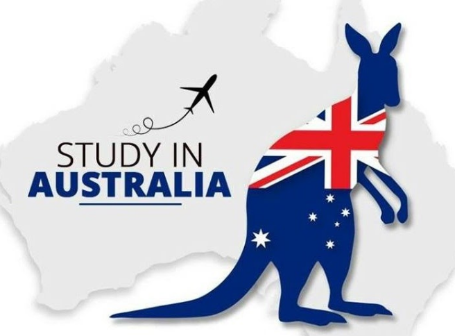 Best immigration consultant in Hoshiarpur