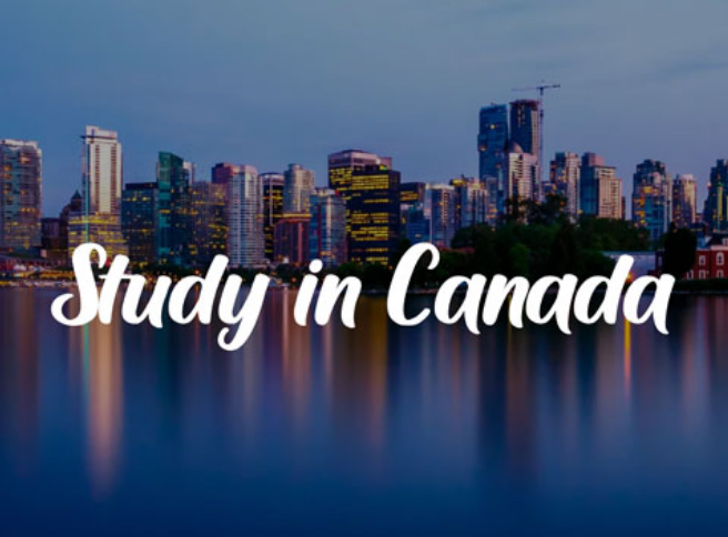 Best immigration consultant in Hoshiarpur