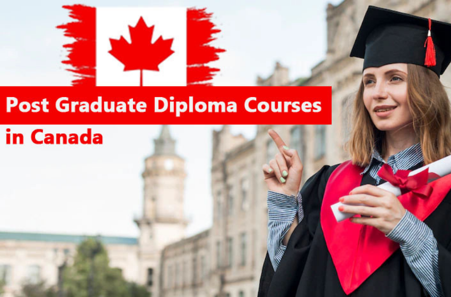 Best immigration consultant in Hoshiarpur punjab