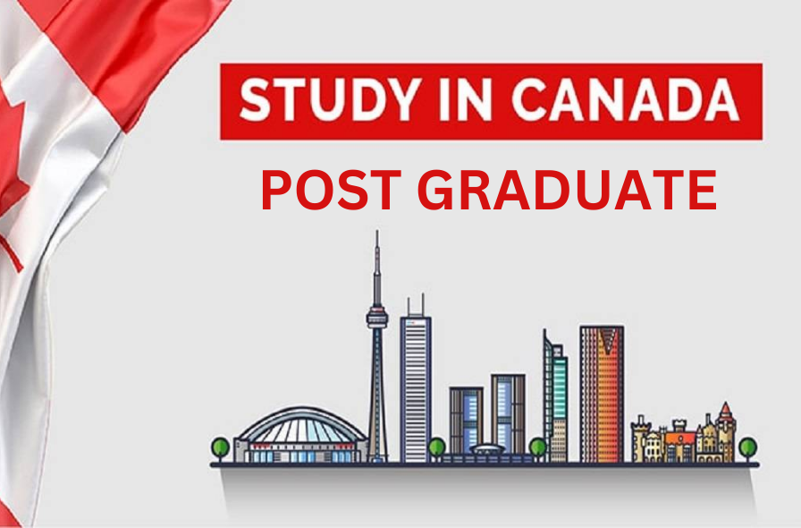 Best immigration consultant in Hoshiarpur