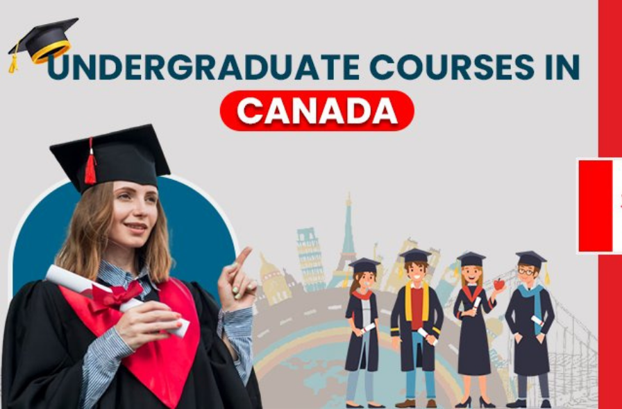 Best immigration company in Hoshiarpur